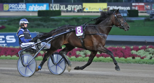 Stod pall för ett maraton