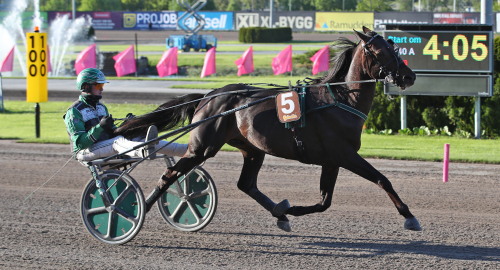 ”Hon ska inte sitta fast i alla fall”