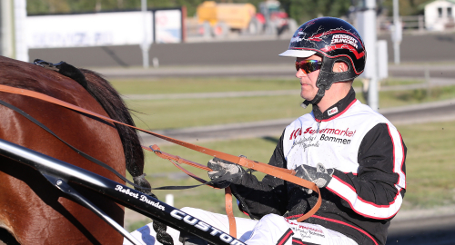 Kung i tvååringsfinalen?