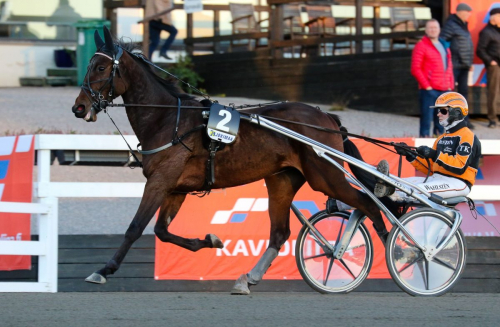 Kolgjini köper blåblodigt