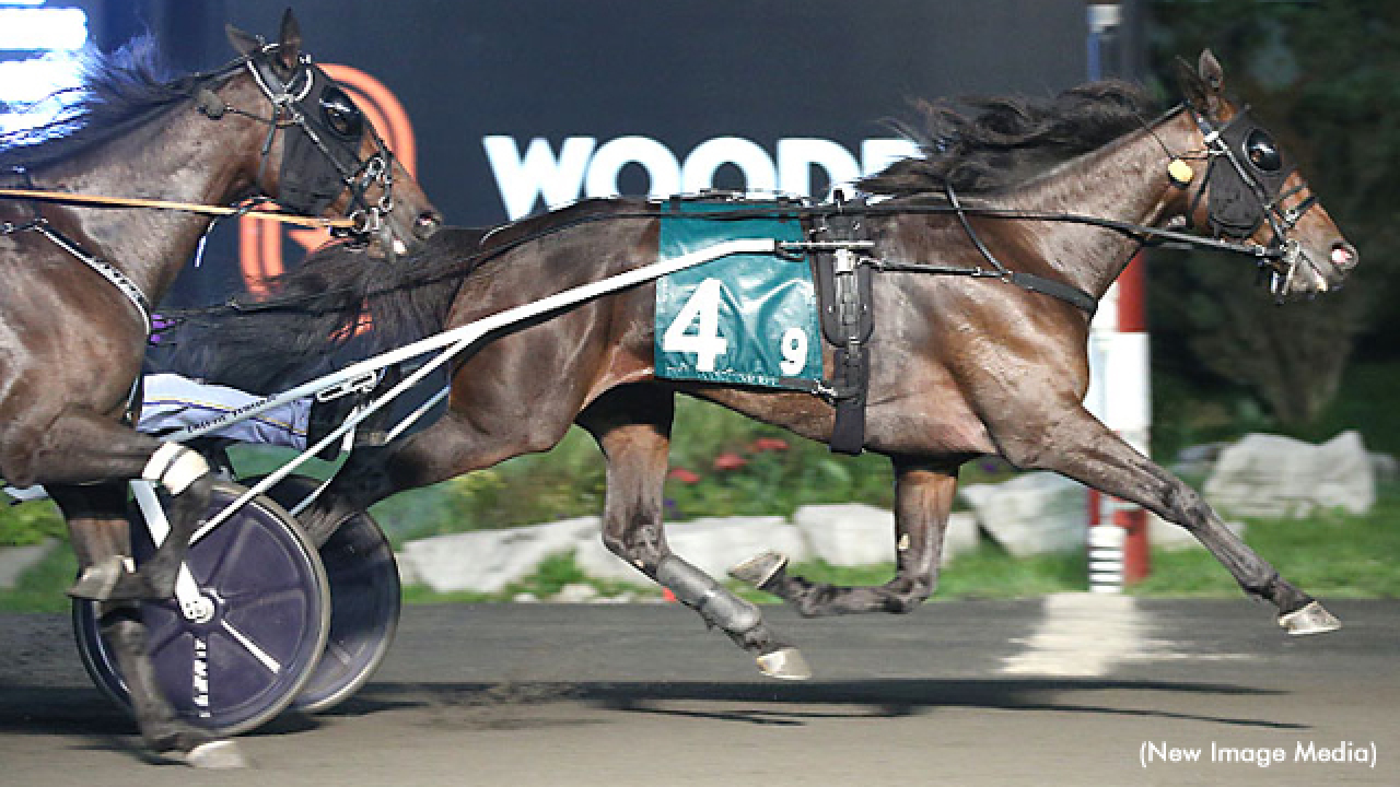 When Dovescry vinner Armbro Flight Stakes. Foto: New Image Media