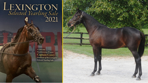 Propulsions bror under klubban