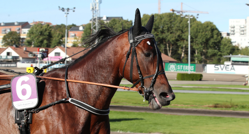 Den som väntar på något gott…