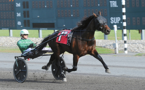 Snygg uppvisning, Coach!