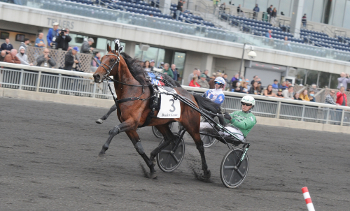 Svanstedts höll segershow