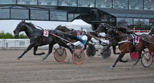 Kriterietvåan utknuffad
