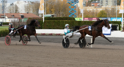 Drottningen klar för ny storloppsfinal