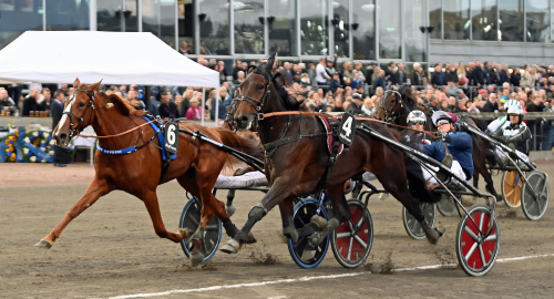 Flyfotad Ivensong i sista steget