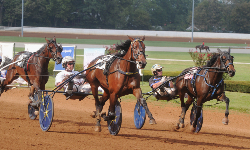 Världens dyraste debutvann