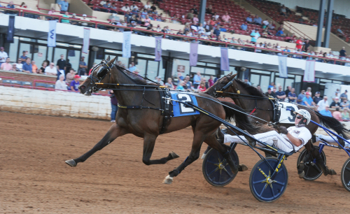 Miljoner på spel för svenskfödda ston