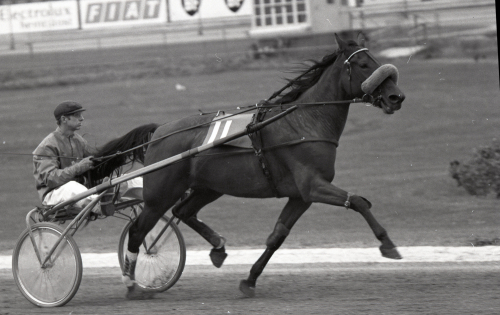Ruben Sandgren ur tiden