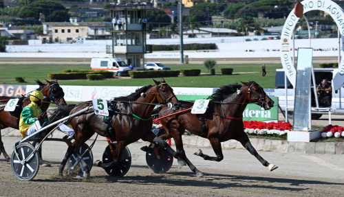 Flyttas efter kuskbyte