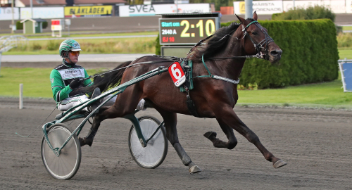 Drömcomeback från drömpojken?