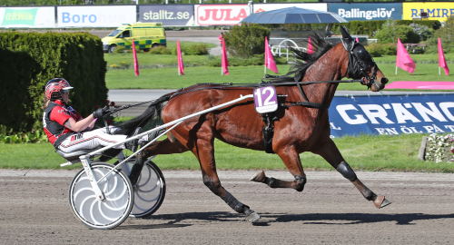 Stort intresse på julafton