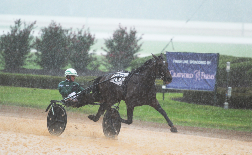Svanstedt på skrällhumör