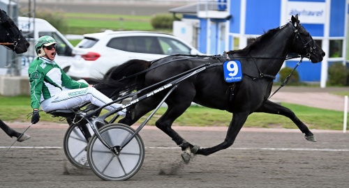 SM-dagen: Arnqvists andra SM-guld