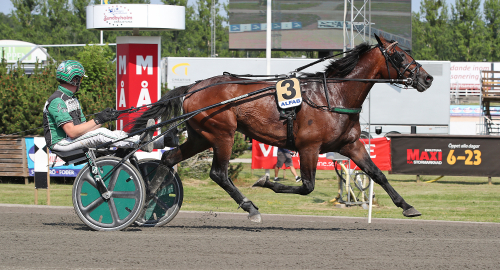 Treåringstoppar på Romme