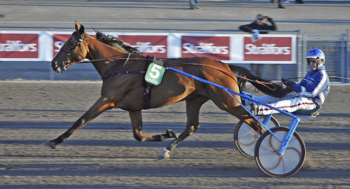 Nyfött i Frankrike och USA