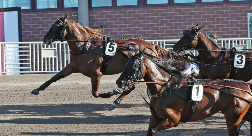 V75: Christoffers bästa chans