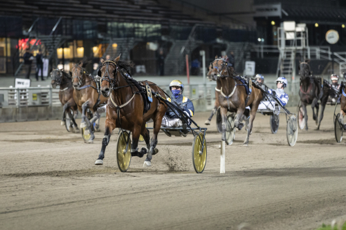 En död publiksport?