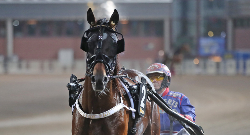 V75-tips: Sår ett frö direkt?