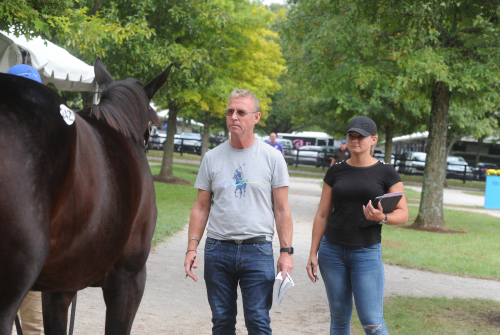 Rekordpriser i Lexington