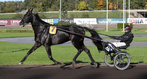 Tidiga tankar: Very god vinstchans