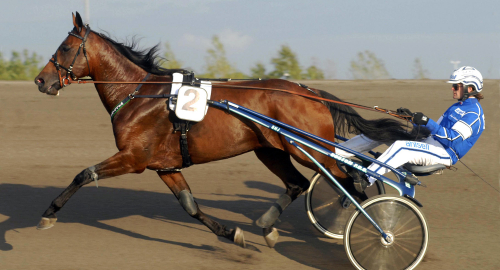 Svensk rekordhäst har gått bort