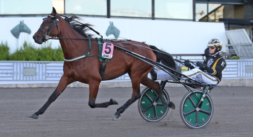 V86-tips: Vi älskar susarspiken!