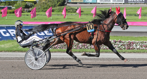 V86: ”Verkligen hittat rätt igen”