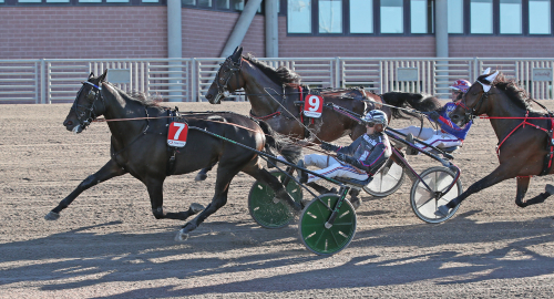 Stortalang med svenska anor