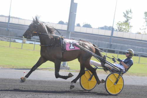 Svenskfödd Nuncio-son i topp