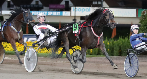 ”Jättenytta av Rikstravet”