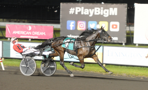 Sämsta spåren till svenskar