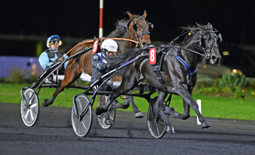 Ingo bäst på Vincennes