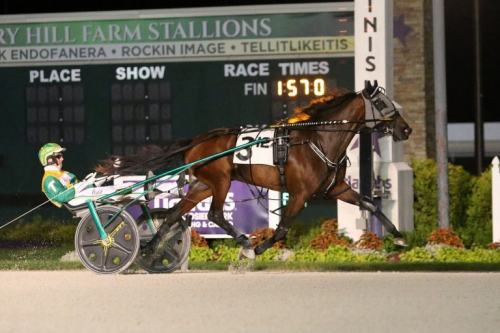 Vinstmaskin i Sverigedebut