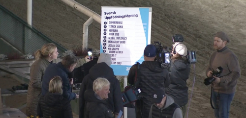 Spåren lottade till Svensk Uppfödningslöpning