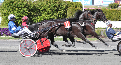 Super Sarahs första avkomma