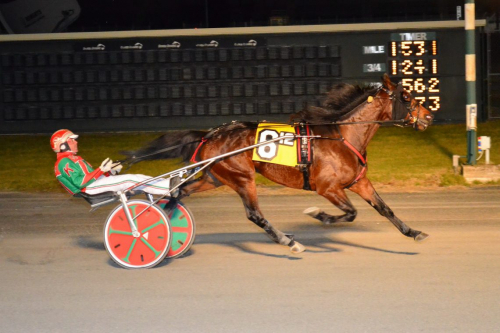 Världsrekordhållare i topp