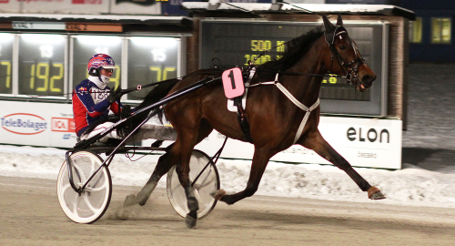 Summer en vintersaga