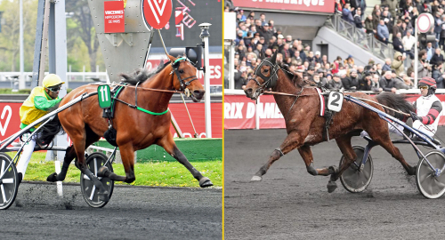 Elitloppet akterseglat?