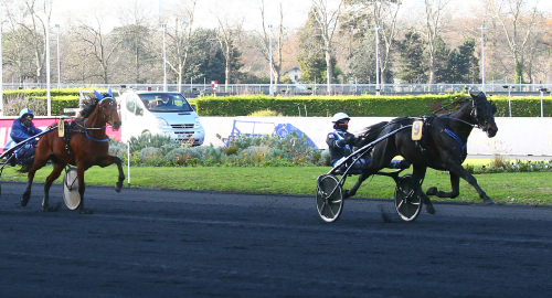 Knockout-seger av Ingo