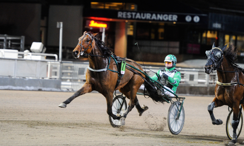 Satte stopp för svenskt rekord