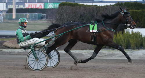 V75: Från ringen till vinnarcirkeln