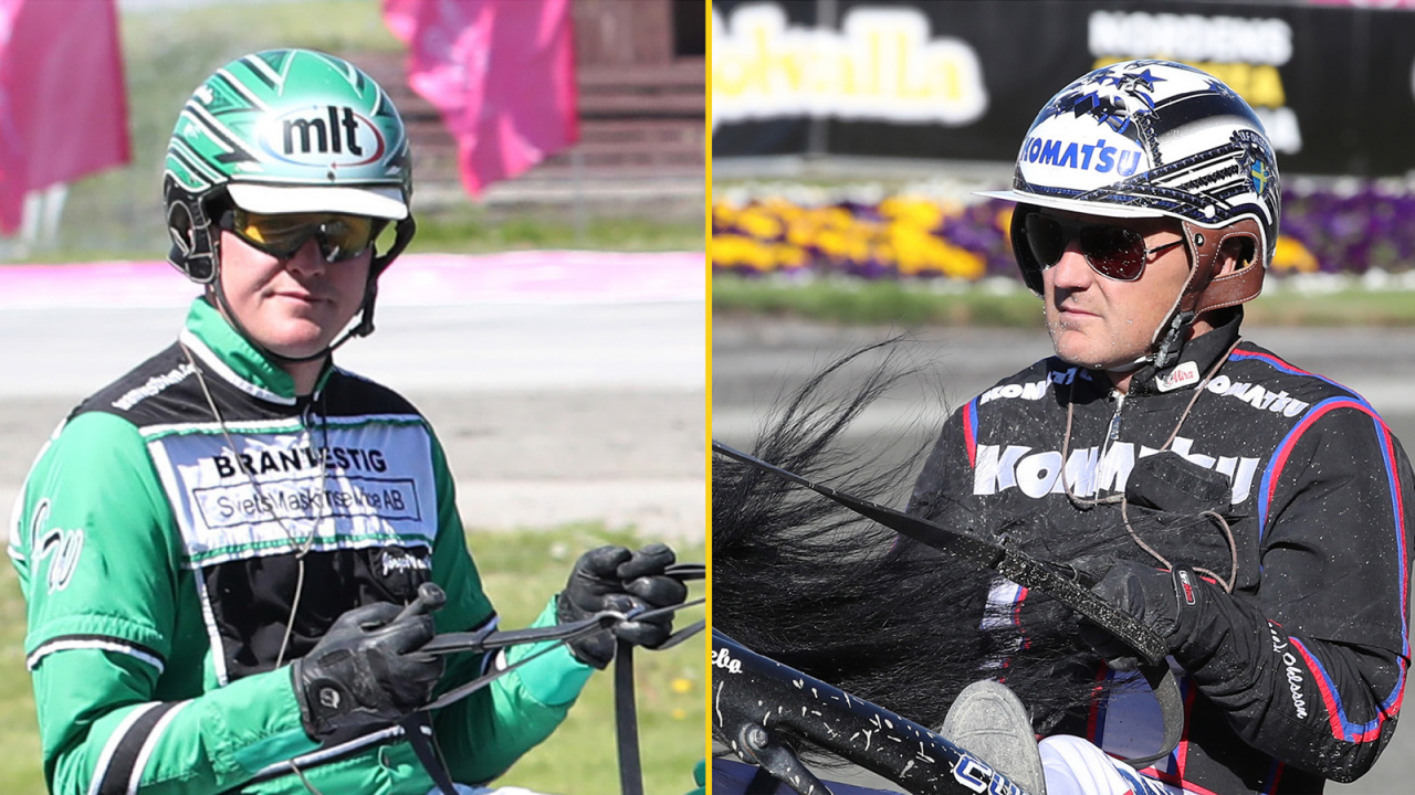 Jörgen Westholm jagar Ulf Ohlsson på Romme. Foto Mathias Hedlund/Sulkysport