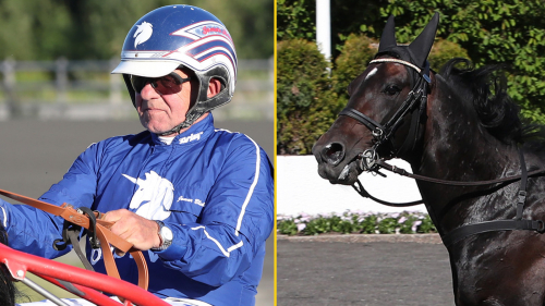 ”Hästen har gått rakt upp i himlen”