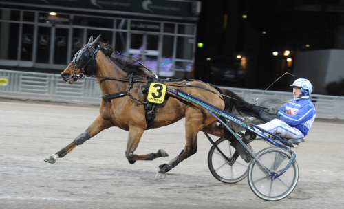 Lillebror kan också