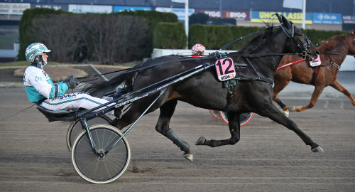 V75-tips: Ett intryck att gå på!