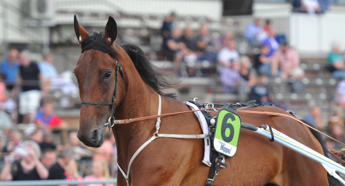 Vilken spurt, Quarcia!