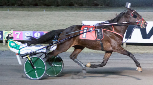 Årets första 1.09-tider!